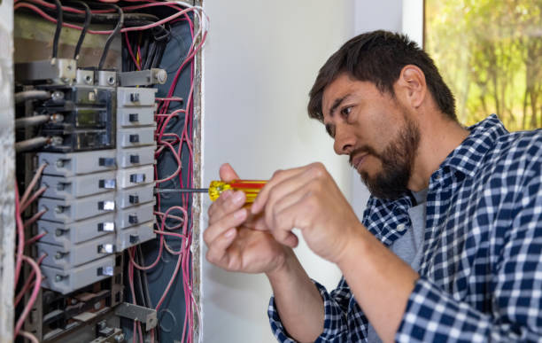 Best Electric Panel Repair  in Olcott, NY